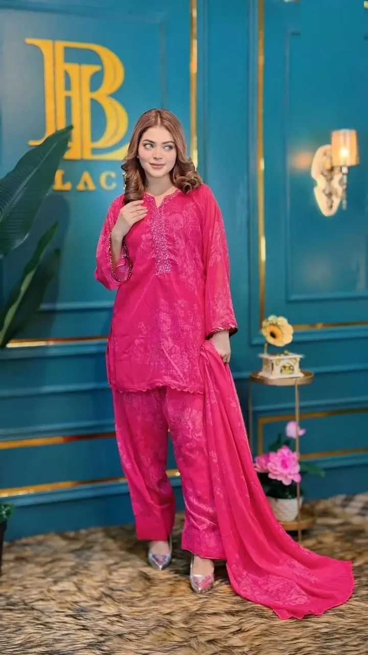 Pakistani Inspired Three Piece - Elegant Design