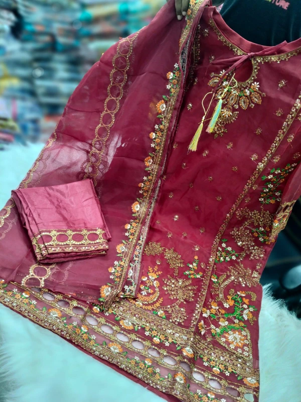 Pakistani Design 4-Piece Sada Bahar Tissue Set - Artful Craftsmanship