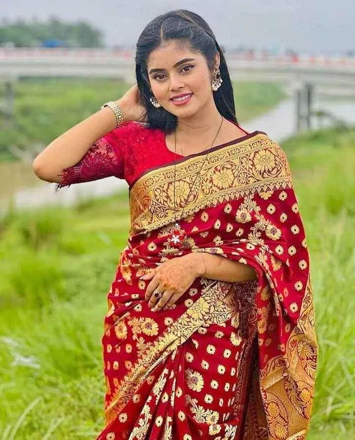 সিল্ক কাতান শাড়ি